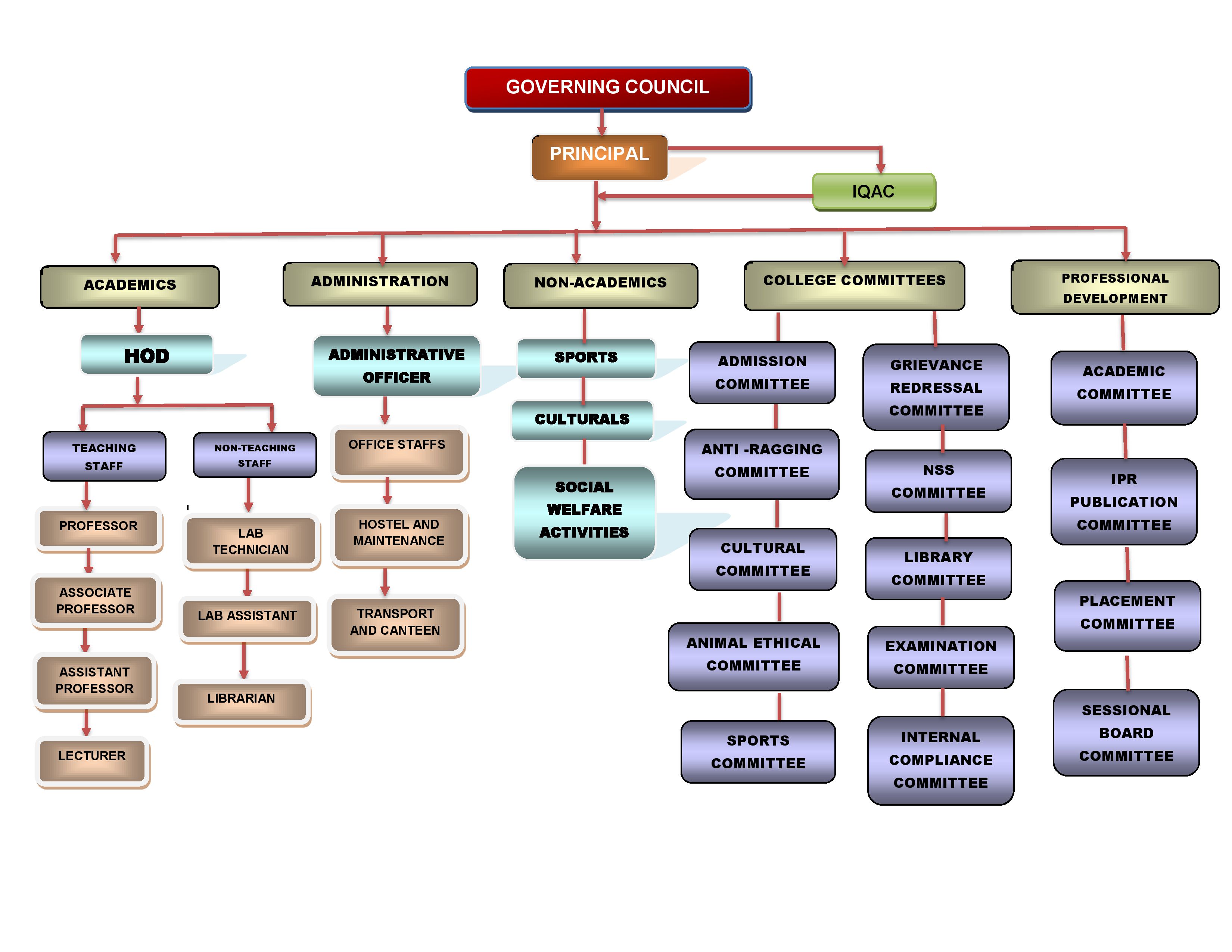 organisation structure ALTER (1).jpg (597 KB)